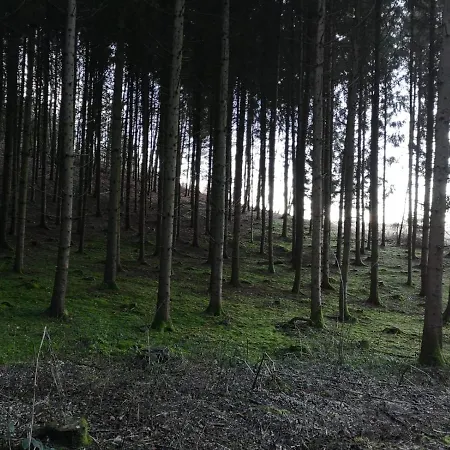 Jurahaus Hirschberg Eg * Beilngries