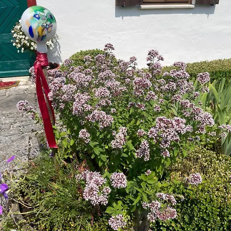 Apartmán Jurahaus Hirschberg Eg